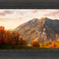 Timpanogos Autumn