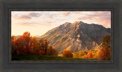 Timpanogos Autumn