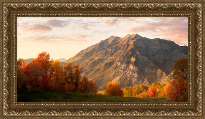 Timpanogos Autumn