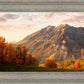 Timpanogos Autumn