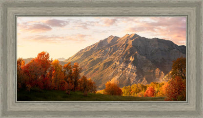 Timpanogos Autumn