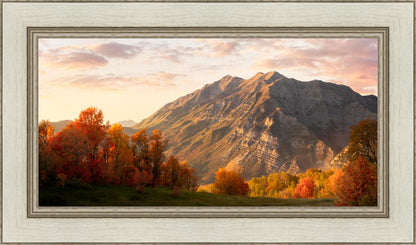 Timpanogos Autumn