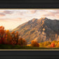 Timpanogos Autumn