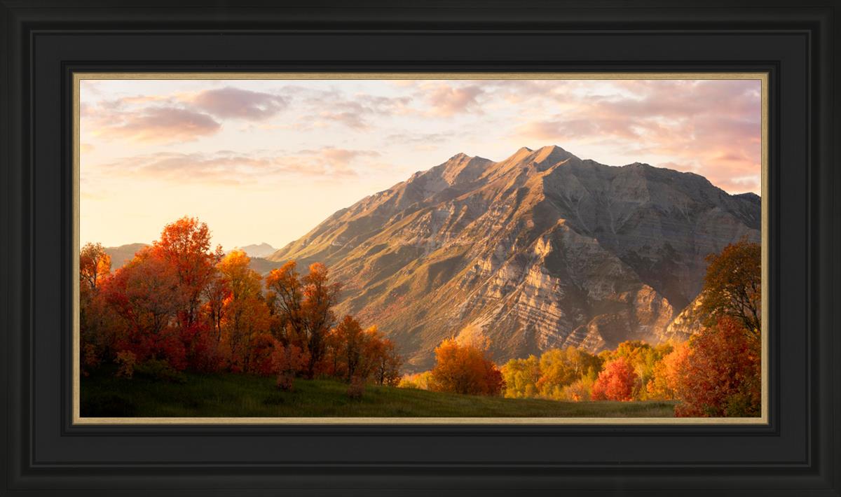 Timpanogos Autumn