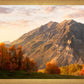 Timpanogos Autumn