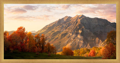 Timpanogos Autumn