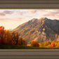 Timpanogos Autumn