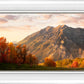 Timpanogos Autumn