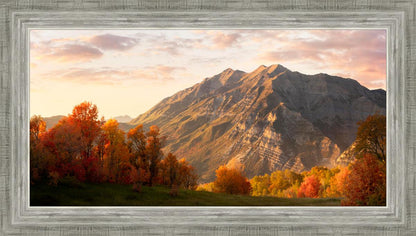 Timpanogos Autumn