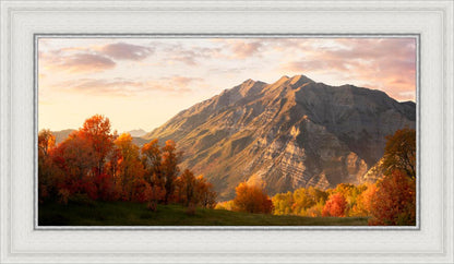 Timpanogos Autumn