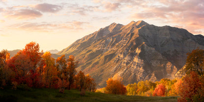 Timpanogos Autumn