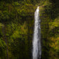 Akaka Falls, Hawaii