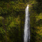 Akaka Falls, Hawaii