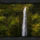 Akaka Falls, Hawaii