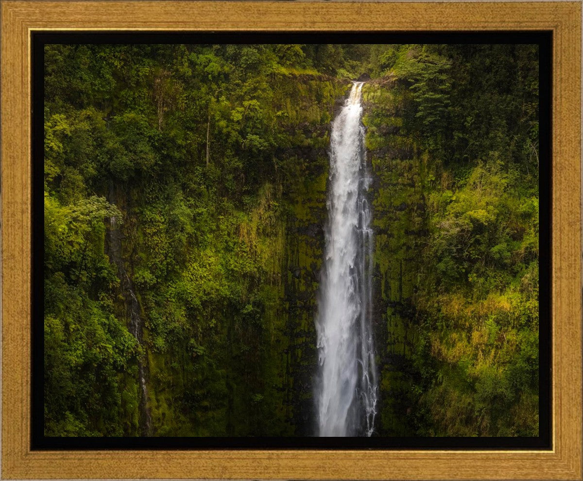 Akaka Falls, Hawaii Gallery Wrap