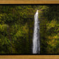 Akaka Falls, Hawaii