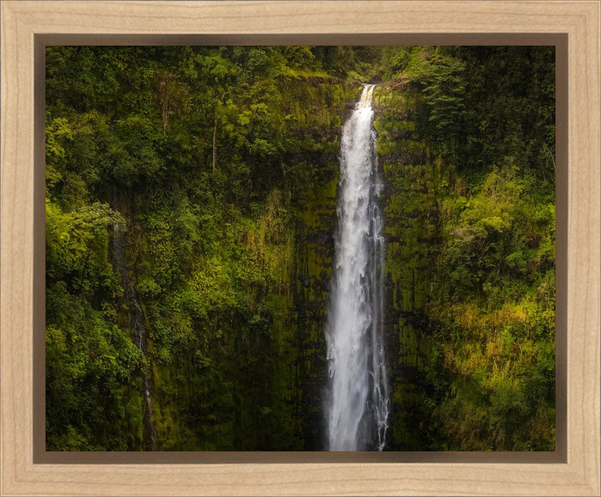 Akaka Falls, Hawaii Gallery Wrap