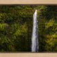 Akaka Falls, Hawaii