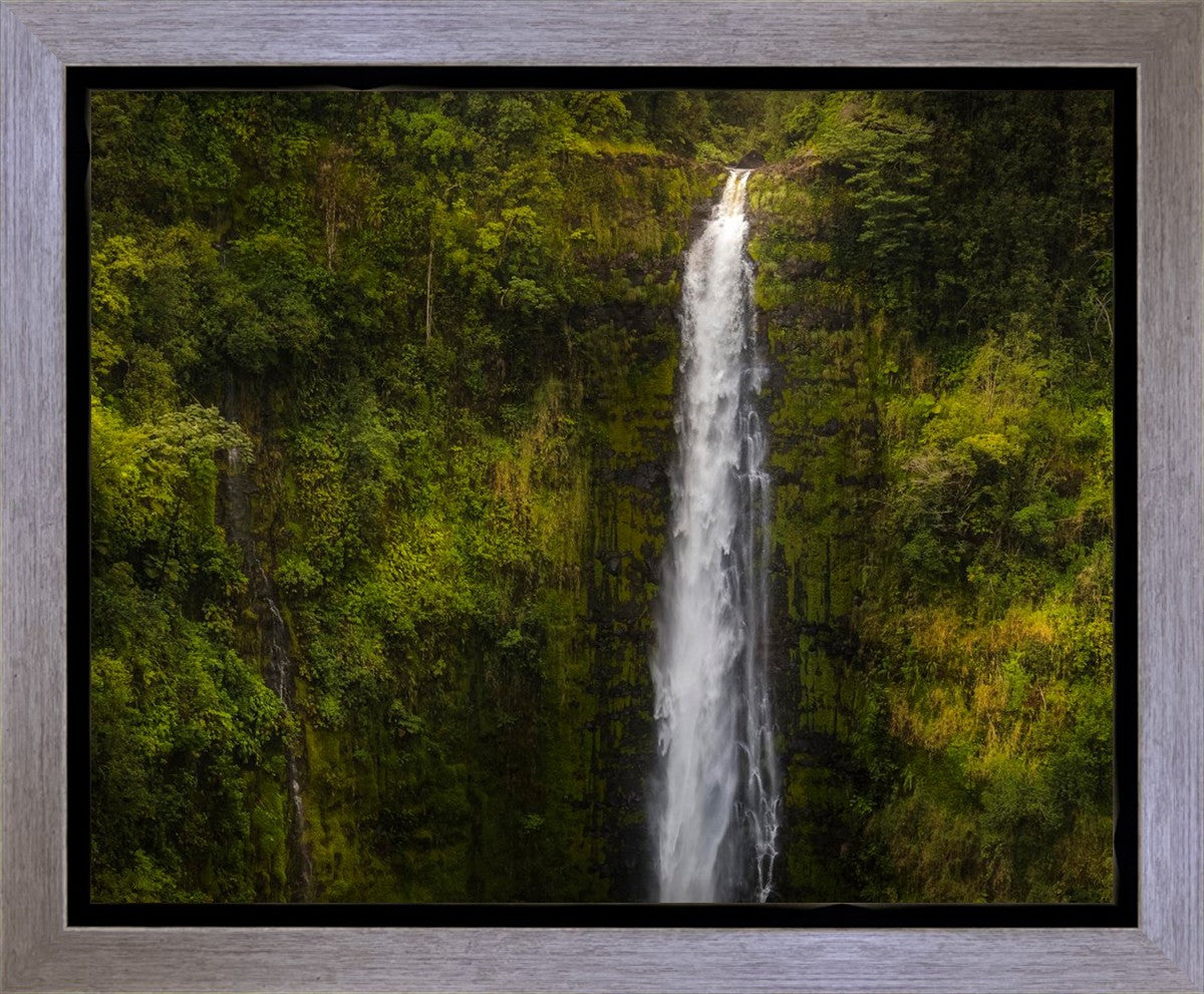Akaka Falls, Hawaii Gallery Wrap
