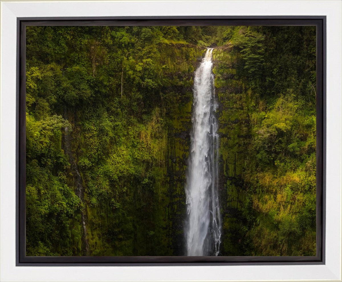 Akaka Falls, Hawaii Gallery Wrap