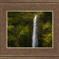Akaka Falls, Hawaii