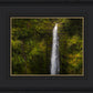 Akaka Falls, Hawaii
