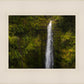 Akaka Falls, Hawaii