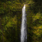 Akaka Falls, Hawaii