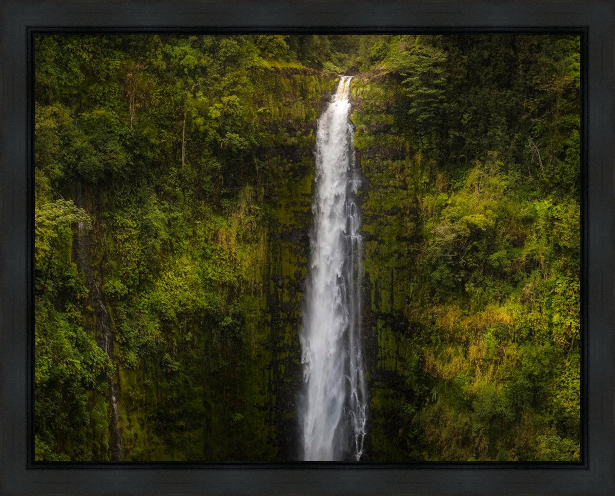 Akaka Falls, Hawaii Gallery Wrap