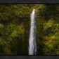 Akaka Falls, Hawaii