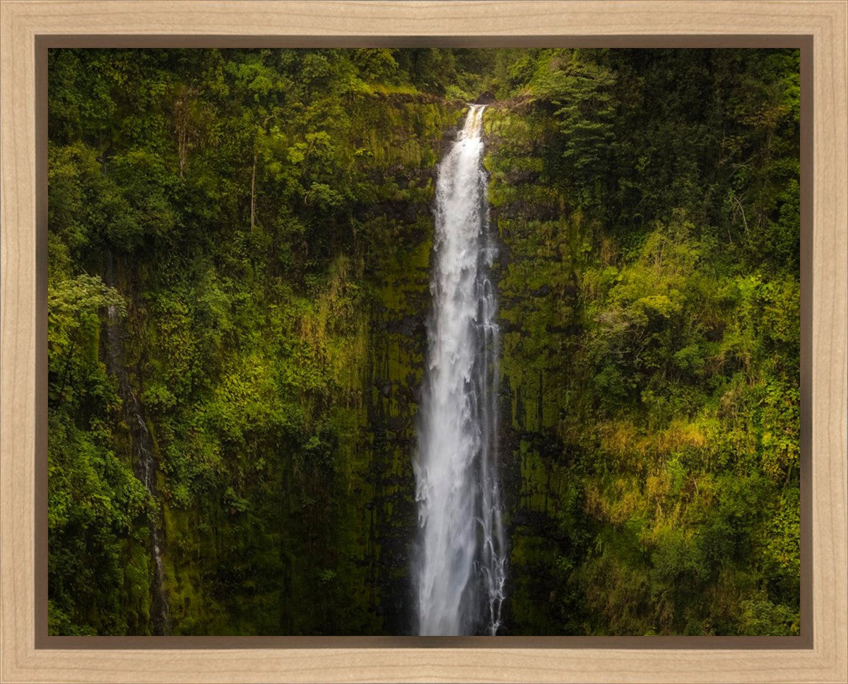 Akaka Falls, Hawaii Gallery Wrap