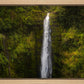 Akaka Falls, Hawaii