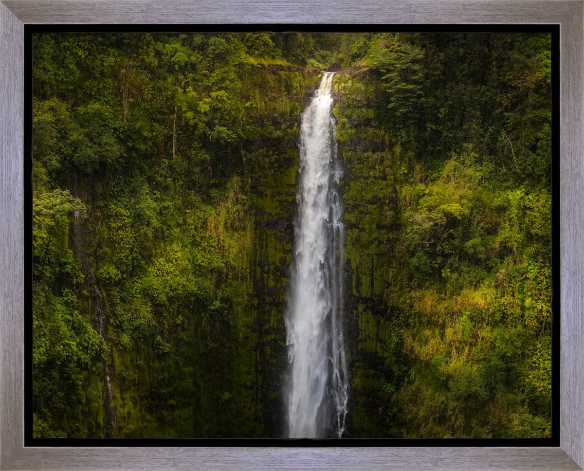 Akaka Falls, Hawaii Gallery Wrap