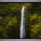 Akaka Falls, Hawaii