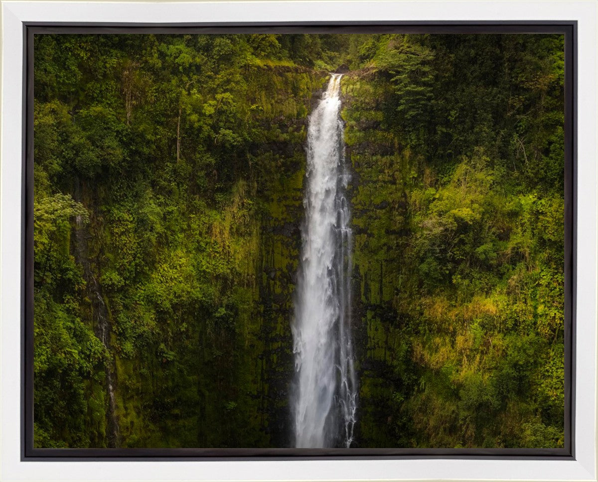 Akaka Falls, Hawaii Gallery Wrap