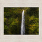 Akaka Falls, Hawaii