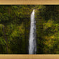 Akaka Falls, Hawaii