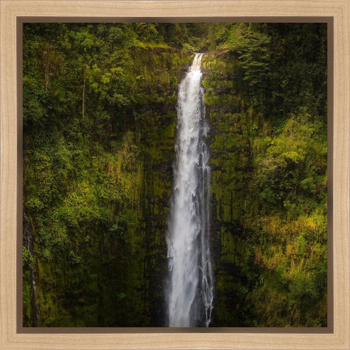 Akaka Falls, Hawaii Gallery Wrap
