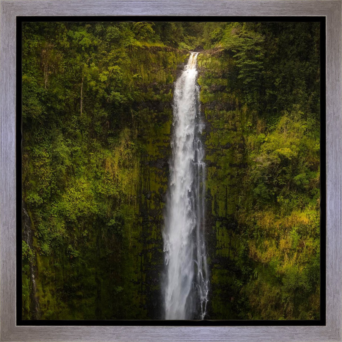 Akaka Falls, Hawaii Gallery Wrap