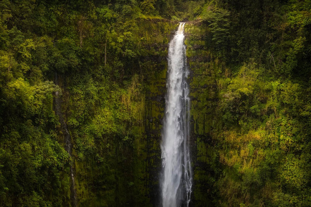 Akaka Falls, Hawaii Gallery Wrap