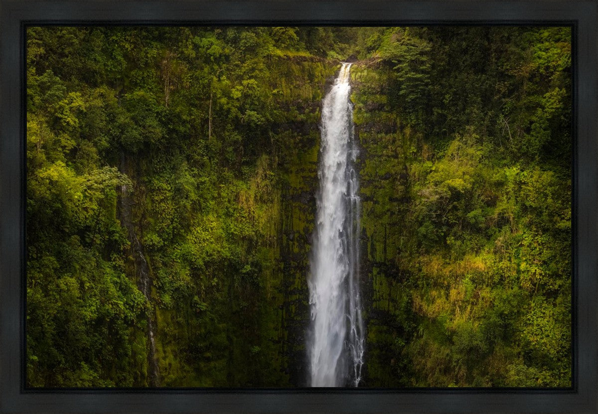 Akaka Falls, Hawaii Gallery Wrap