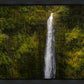 Akaka Falls, Hawaii