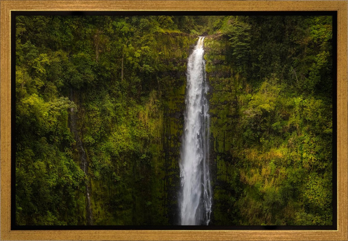 Akaka Falls, Hawaii Gallery Wrap
