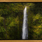 Akaka Falls, Hawaii