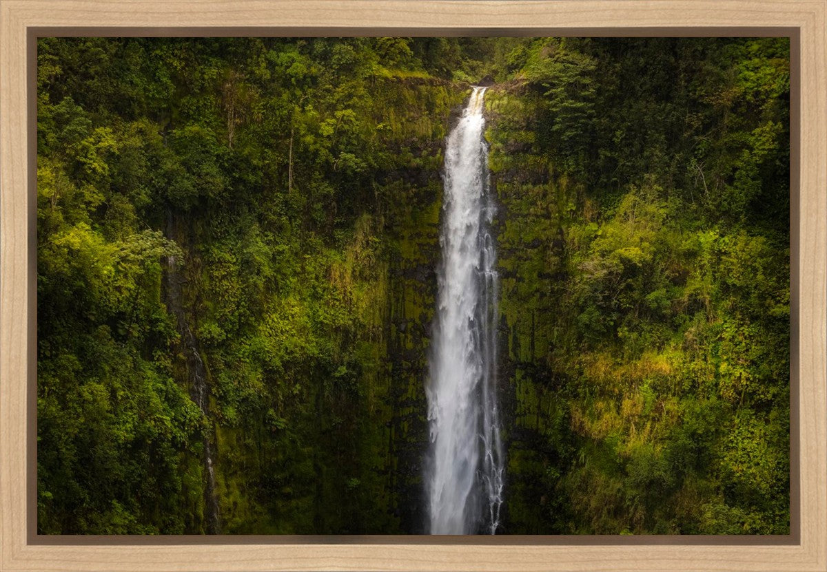 Akaka Falls, Hawaii Gallery Wrap
