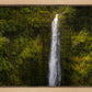 Akaka Falls, Hawaii