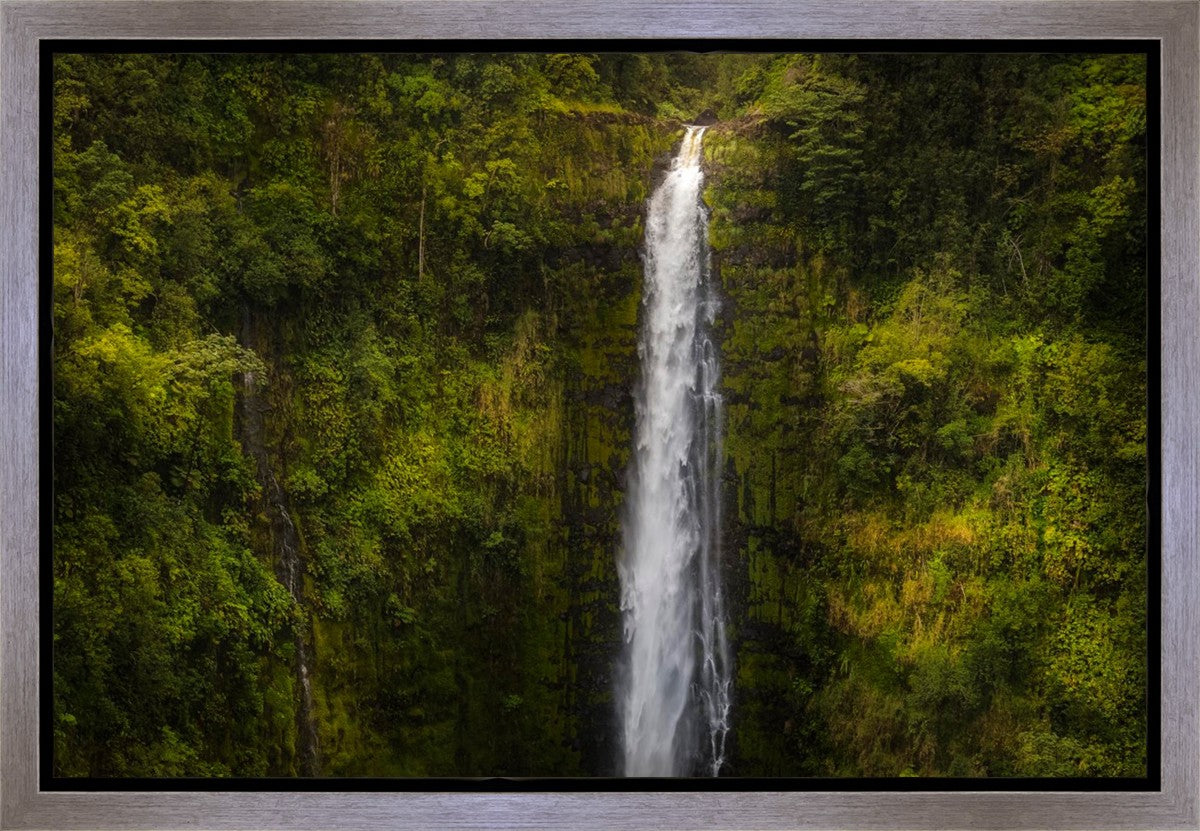 Akaka Falls, Hawaii Gallery Wrap