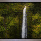 Akaka Falls, Hawaii