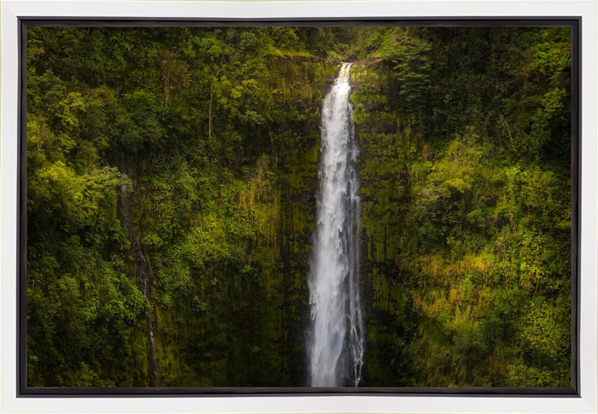 Akaka Falls, Hawaii Gallery Wrap