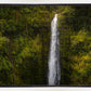 Akaka Falls, Hawaii